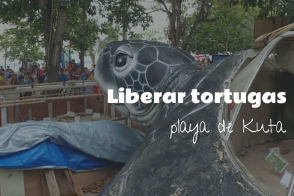 Libérer tortugas en la playa de kuta