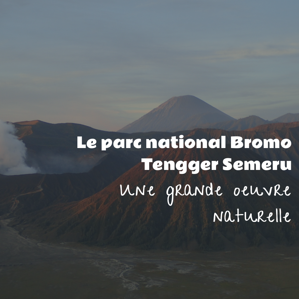 Gunung-Bromo-travelingnomads