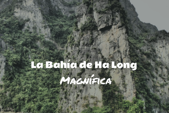 Bahia-ha-Long-magnifica